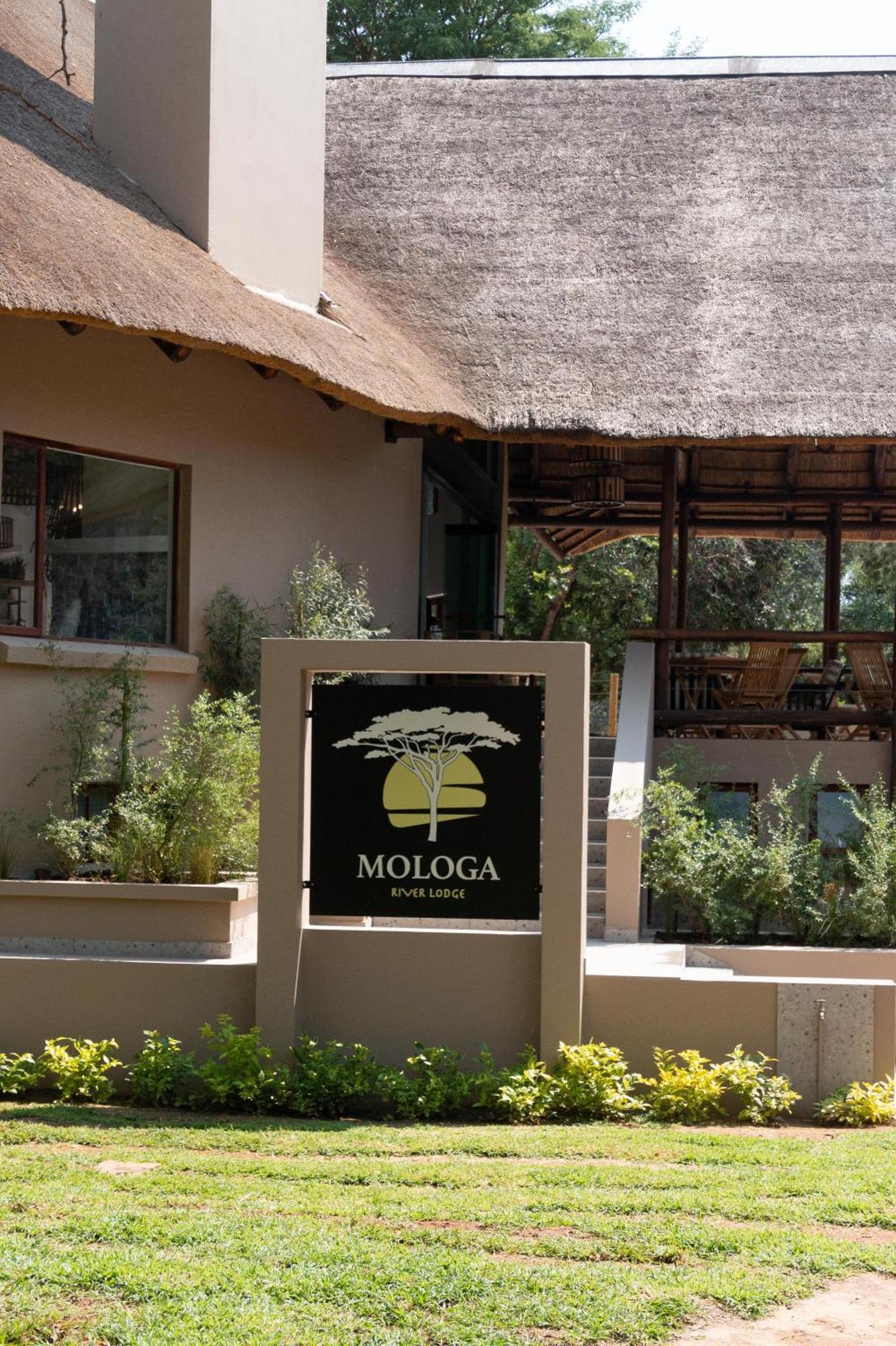 Mologa River Lodge Rust de Winter Buitenkant foto